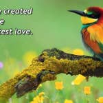 You were created to receive the greatest love (당신은 사랑받기 위해 태어난 사람 - 영어 버젼)