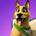 Epic apologizes for selling a new Fortnite dog that was identical to an old Fortnite dog