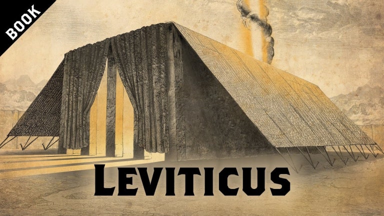 [바이블 프로젝트] 레위기(The Book of Leviticus)