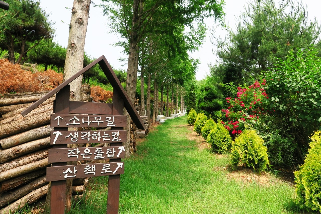 우림관광 이미지
