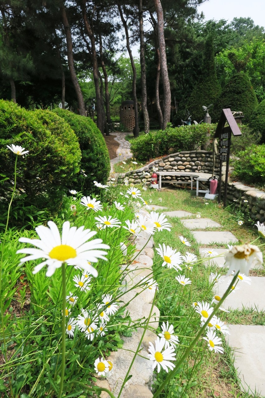 우림관광 이미지