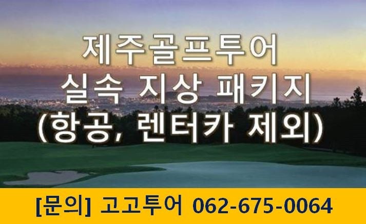 고고렌트카주 이미지