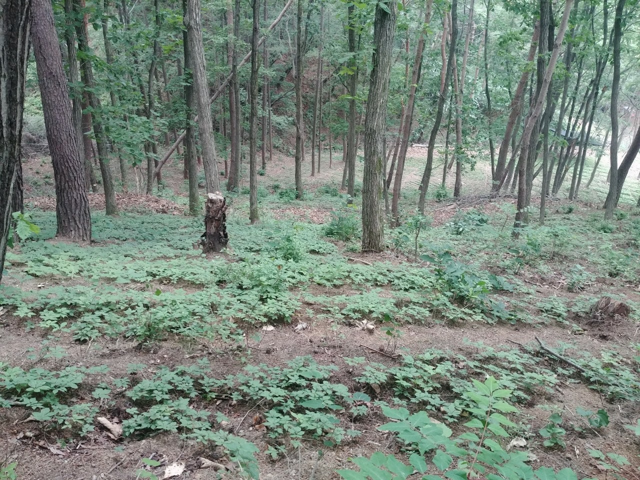 신바람 중고 농기계 매물