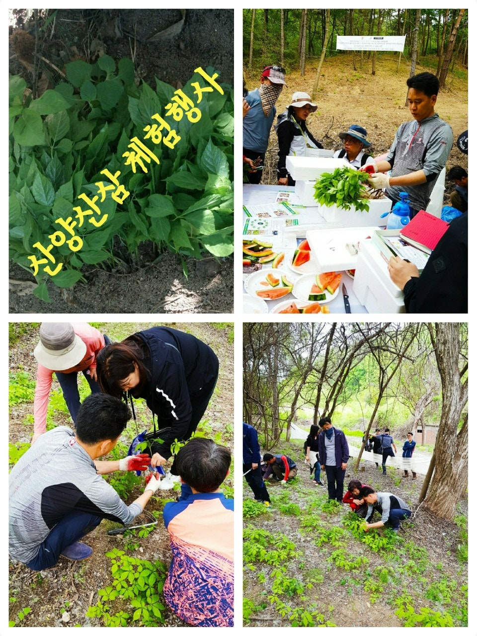 신바람 중고 농기계 매물