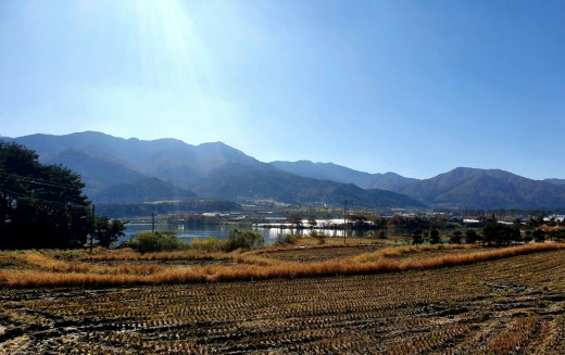 사진