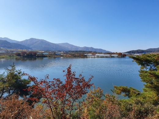 사진