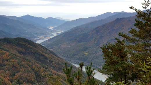 사진