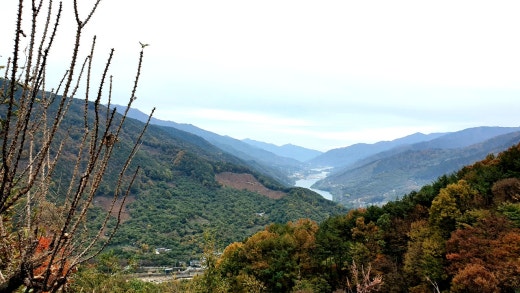 사진
