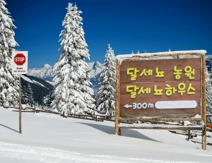 달세뇨 이미지