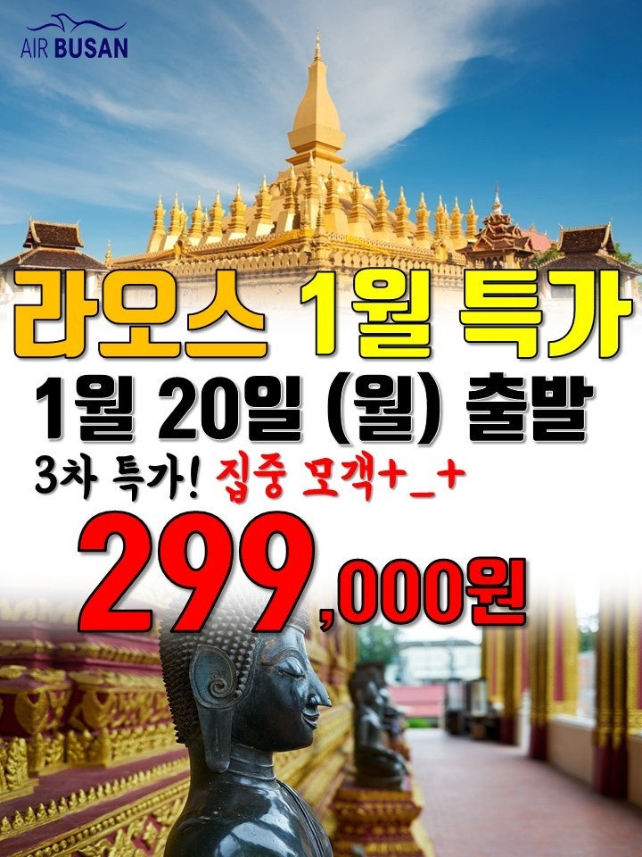 엠에스투어 이미지