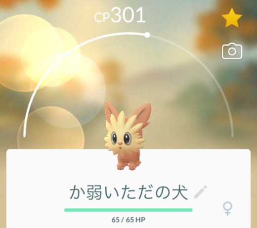 みんなのポケモンgo Band