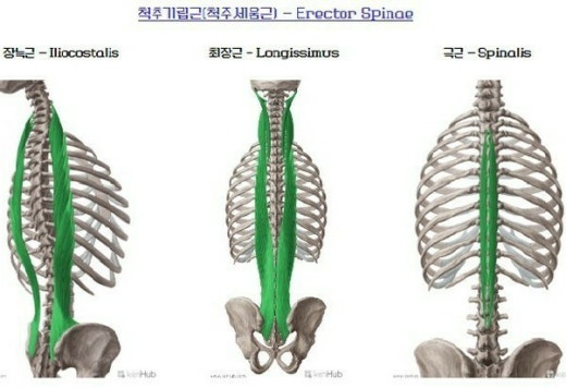 서리풀PT 이미지
