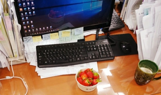 사진