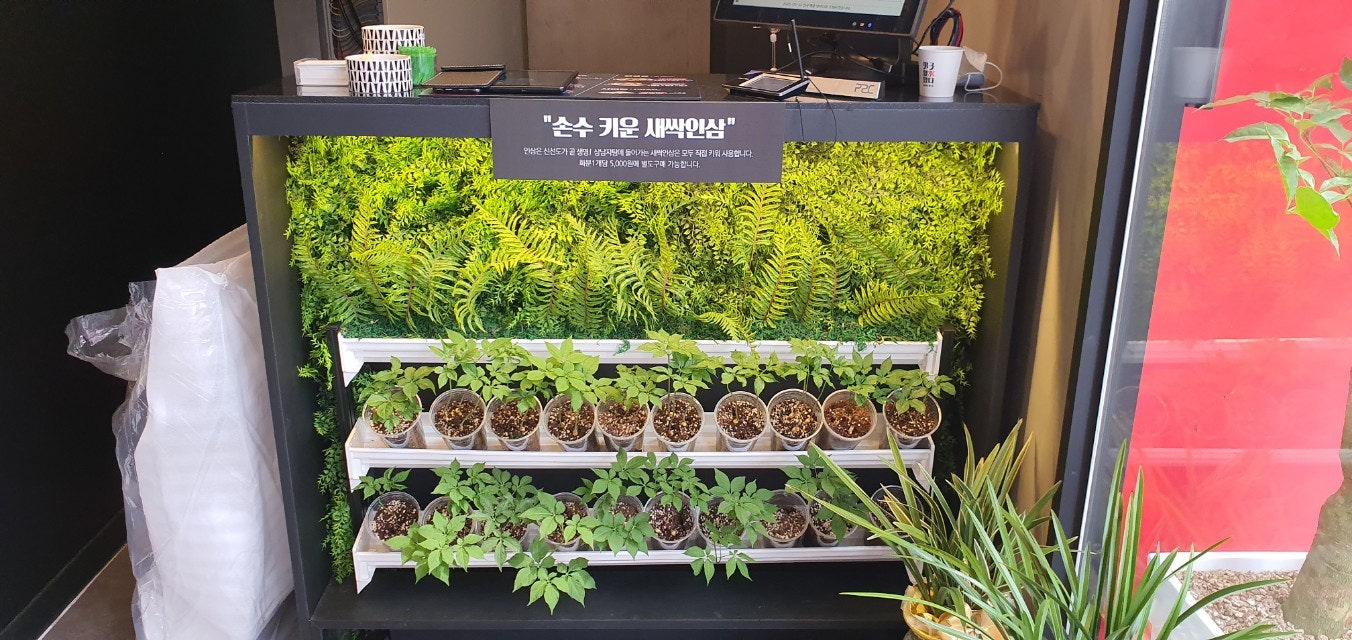 강남 명품 감자탕 이미지