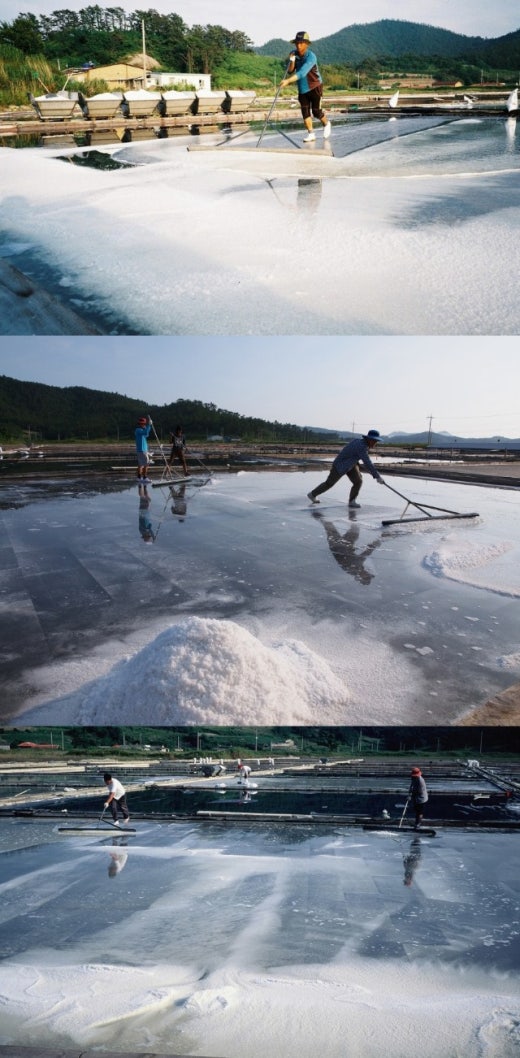 사진