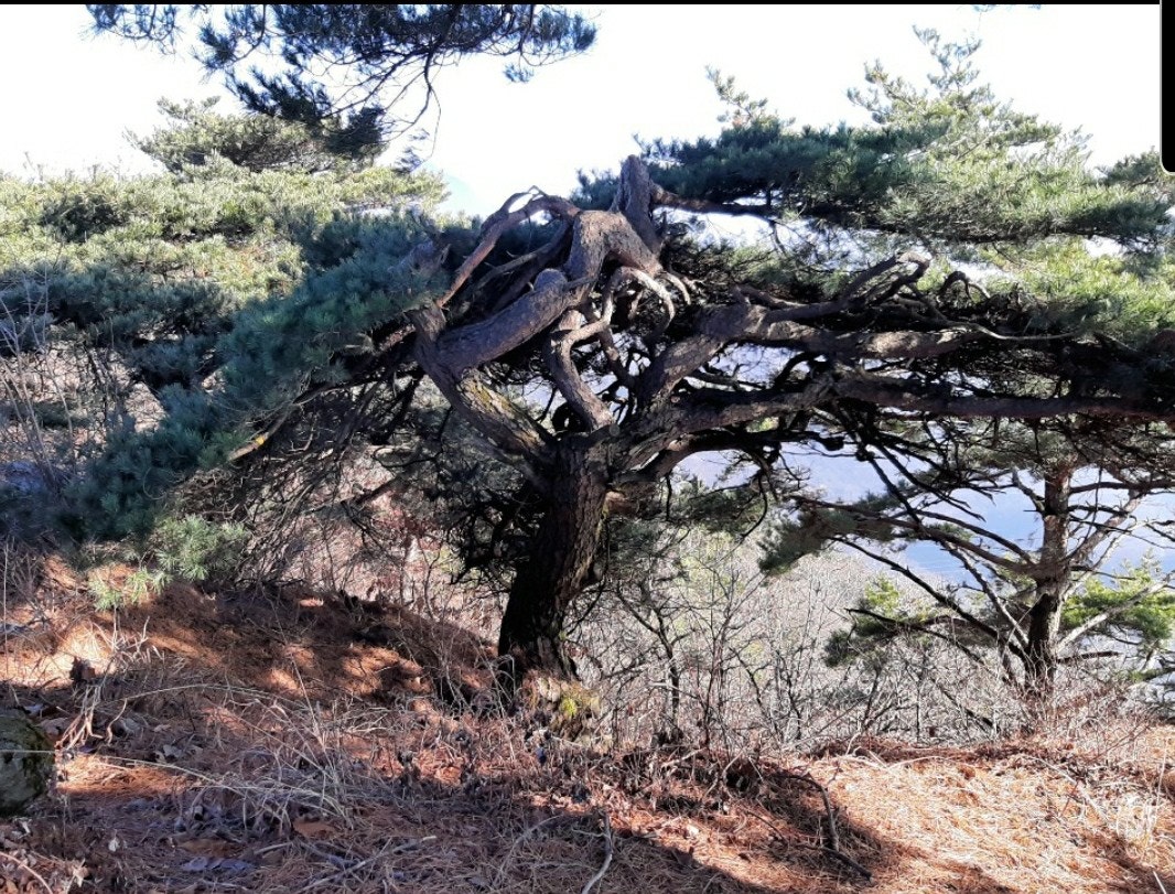원통산 정상 이미지