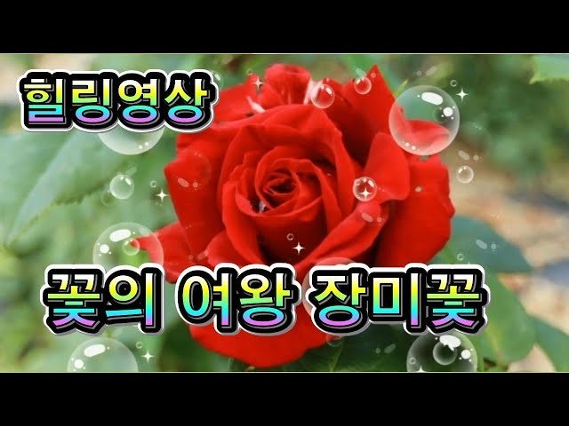 ♡굿유머 짤방♡좋은글,감동글,꿀잼,움짤,동영상,웹툰,만화,성인 | Band