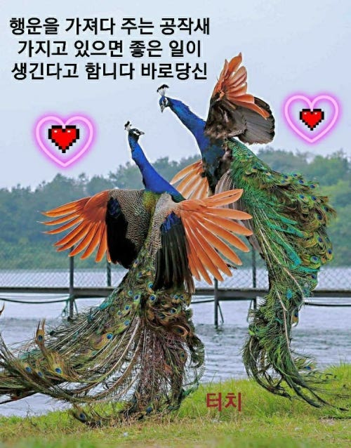 (주)스마트비전 이미지