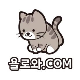 욜로와 | BAND 욜로와 | Band
