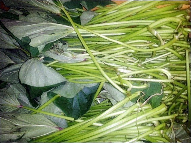 5_3ejUd018svcuqomik0n9yf7_d3ubs5.jpg?type=e1920_std
