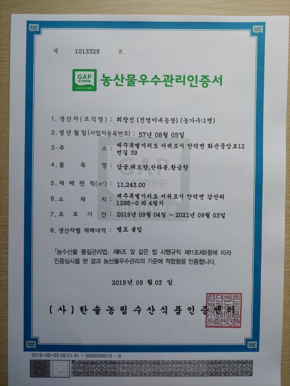 진영이네 이미지