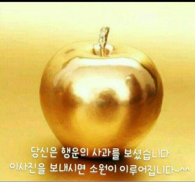 구룡주유소 이미지