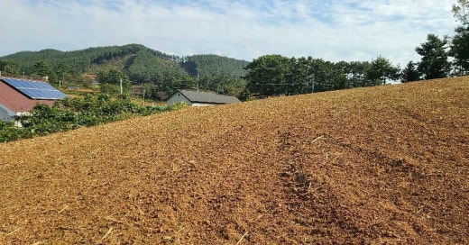 부산.울산.김해.양산부동산-부산부동산.김해부동산.울산부동산.아파트.상가.토지.전원주택분양권 | Band