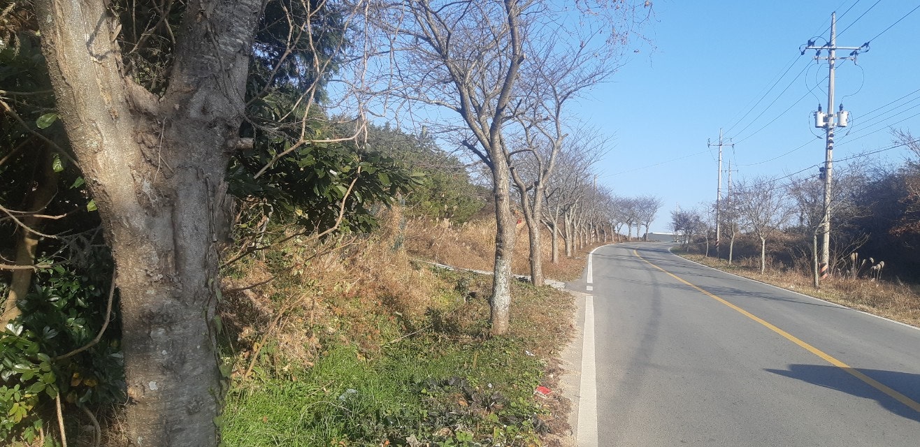 덕암주유소 이미지