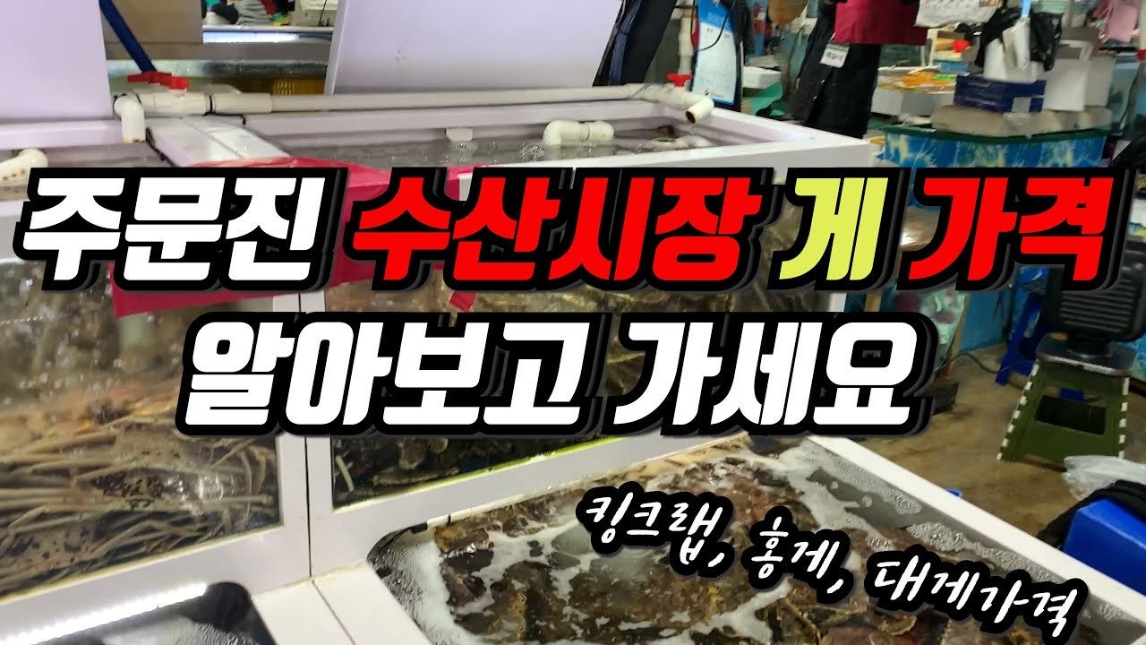 수산시장 실시간 시세 | Band