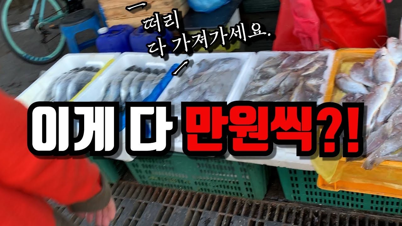 수산시장 실시간 시세 | Band