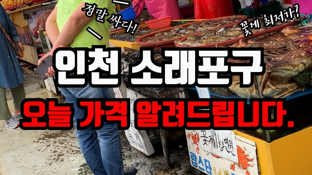 수산시장 실시간 시세 | Band