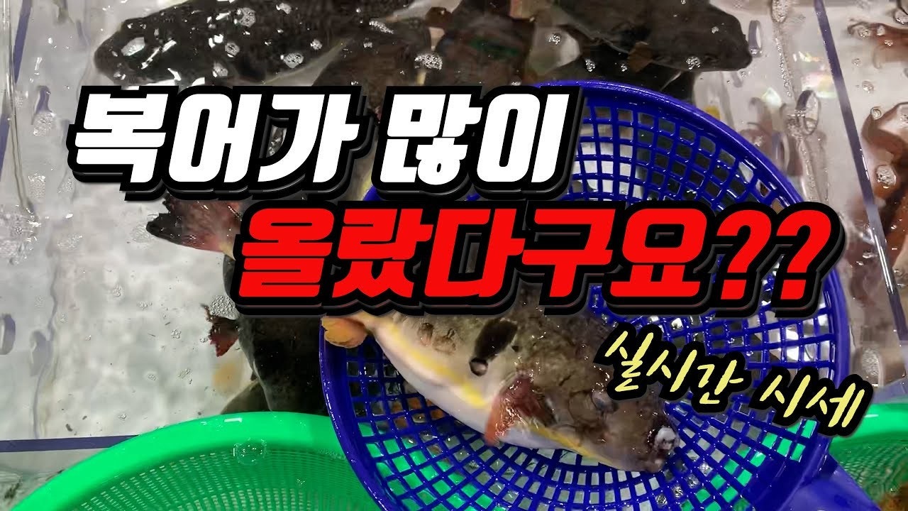 수산시장 실시간 시세 | Band