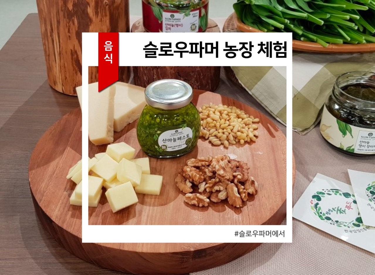 오늘의 먹거리 이미지