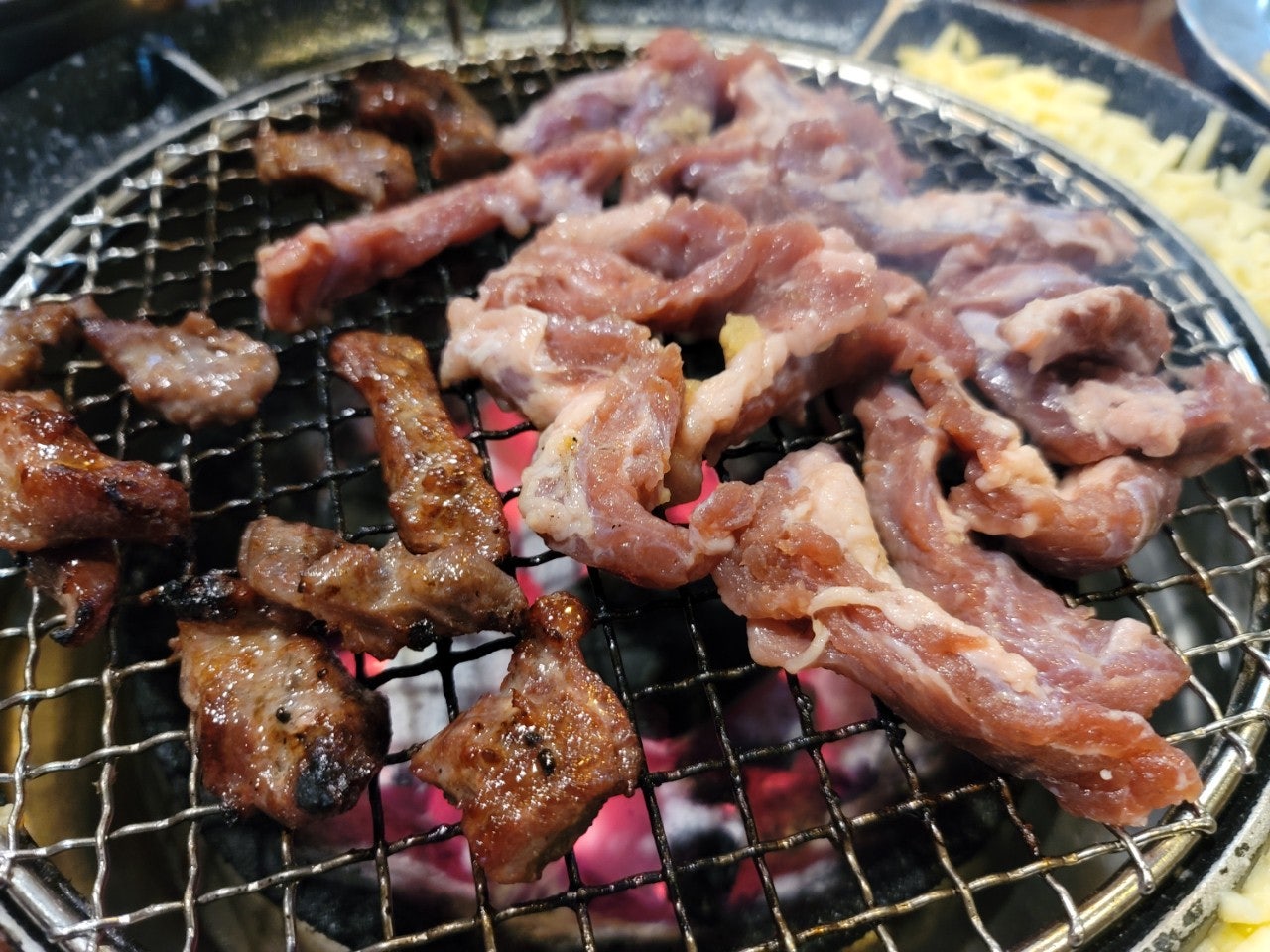 갈매기먹짱 이미지