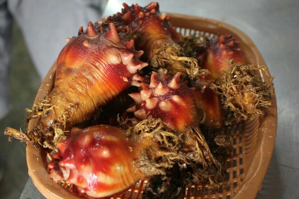 주식회사 청정식품 이미지