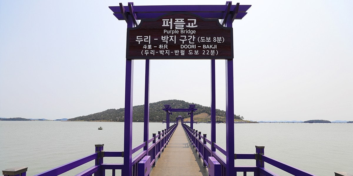 퍼플투어 이미지