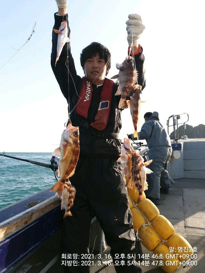구산면 타이거 도다리