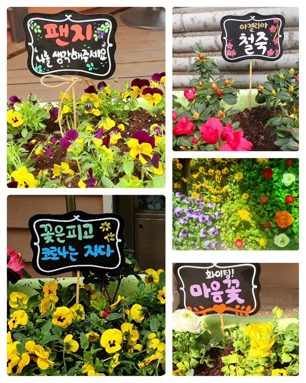 서울원예농업협동조합 이미지