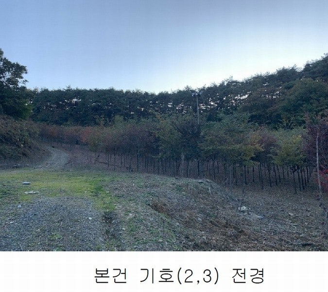 공주옥션 이미지