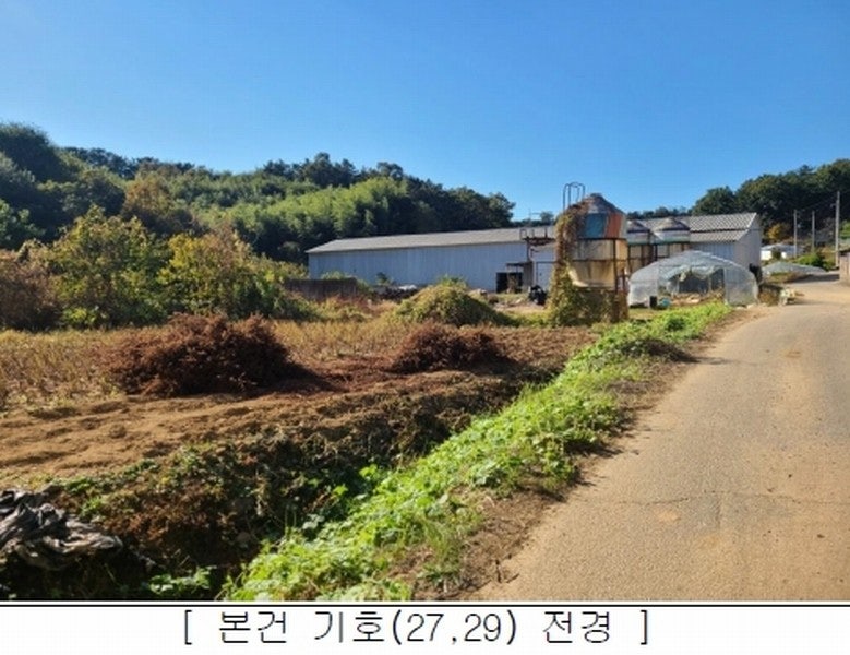 공주옥션 이미지