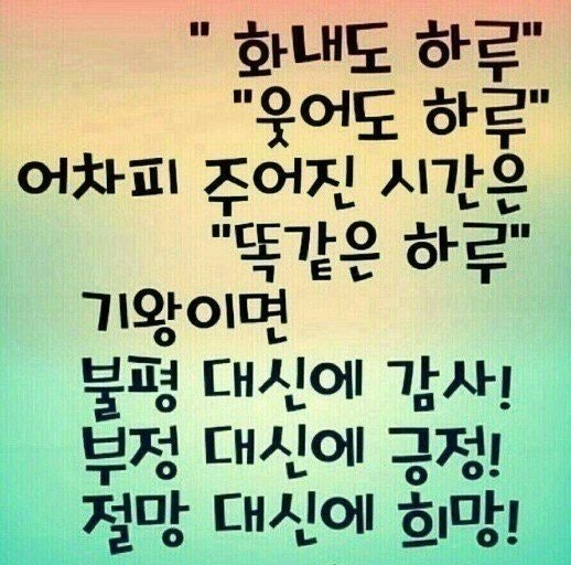 사용자가 올린 이미지