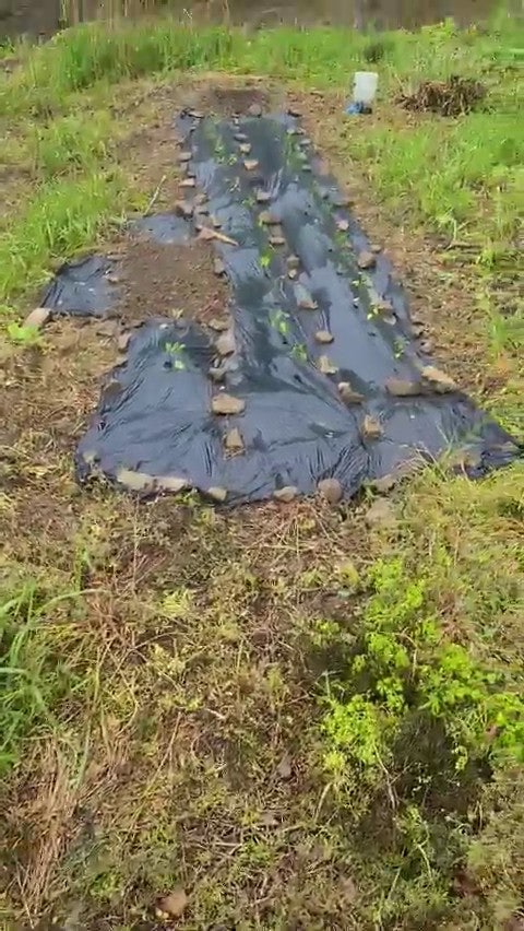 축령산편백하우스 이미지