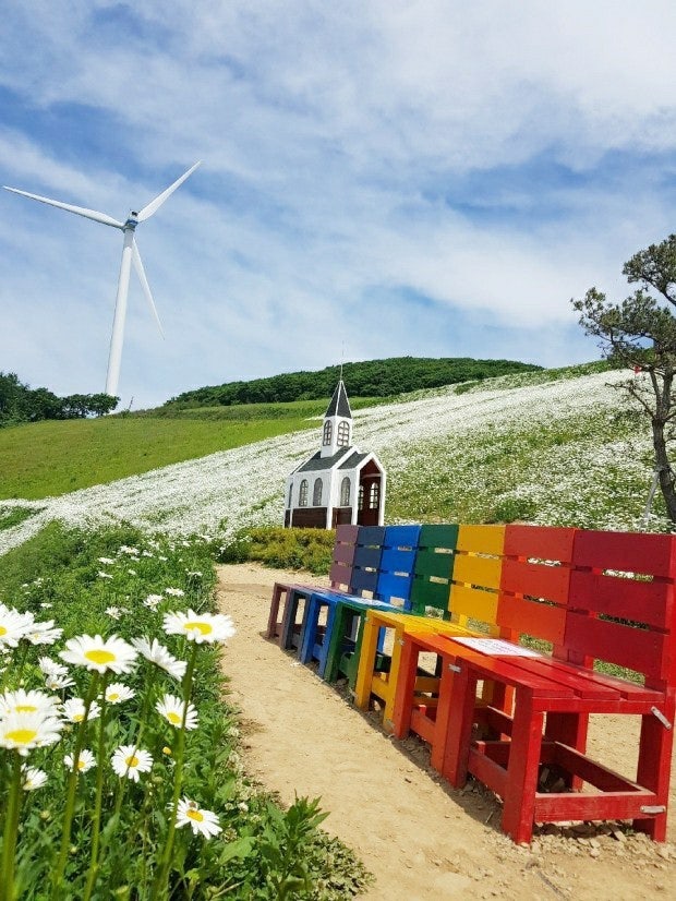 사용자가 올린 이미지