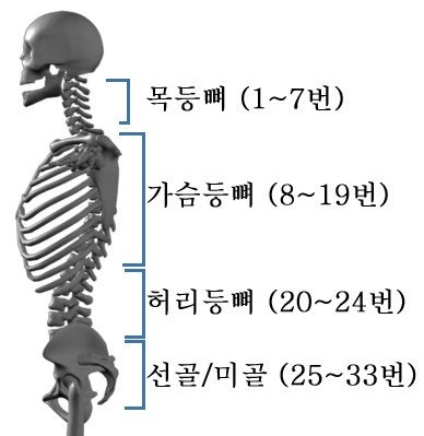 도리도리 이미지