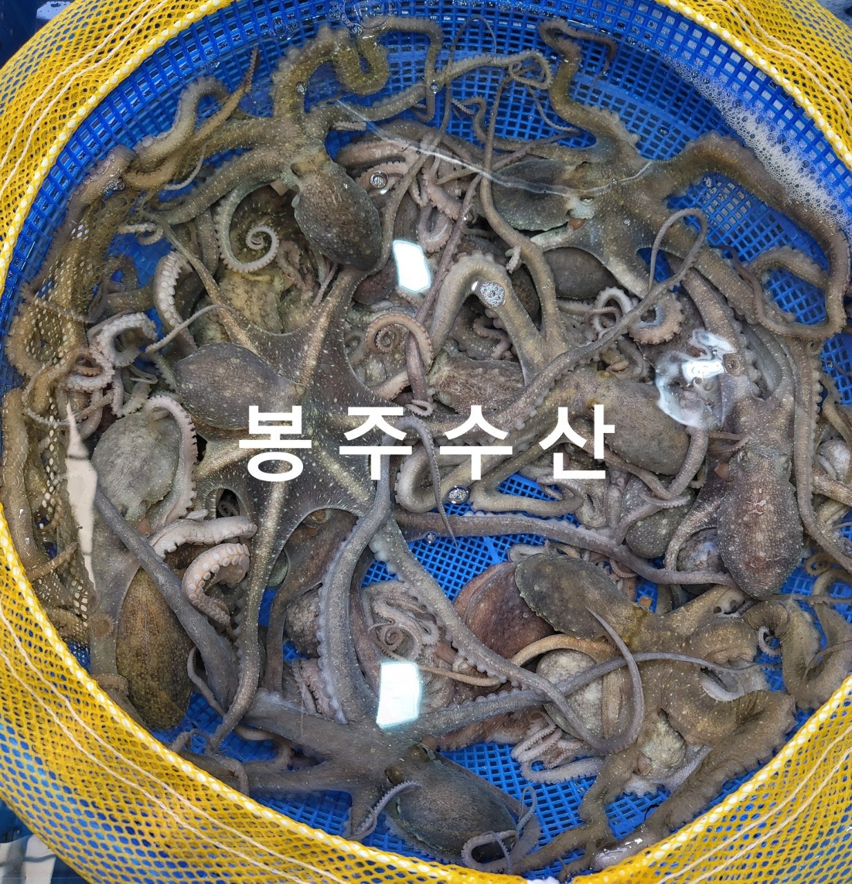 봉주수산 이미지