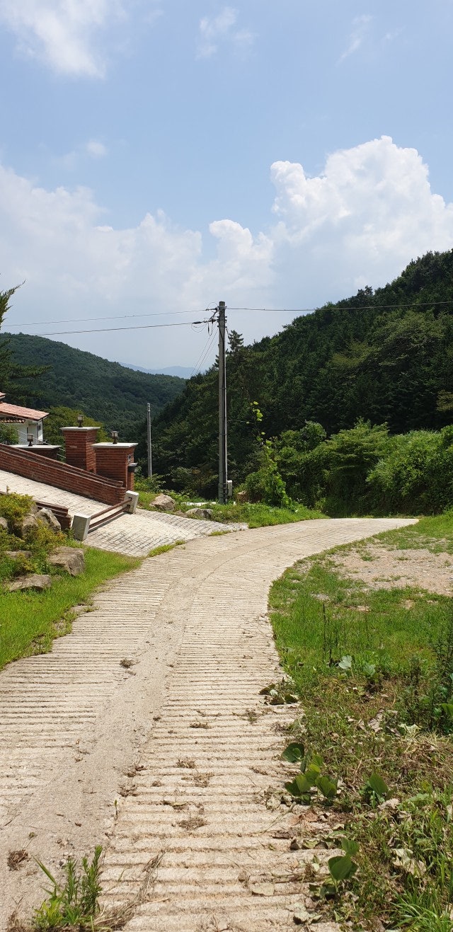 축령산편백하우스 이미지