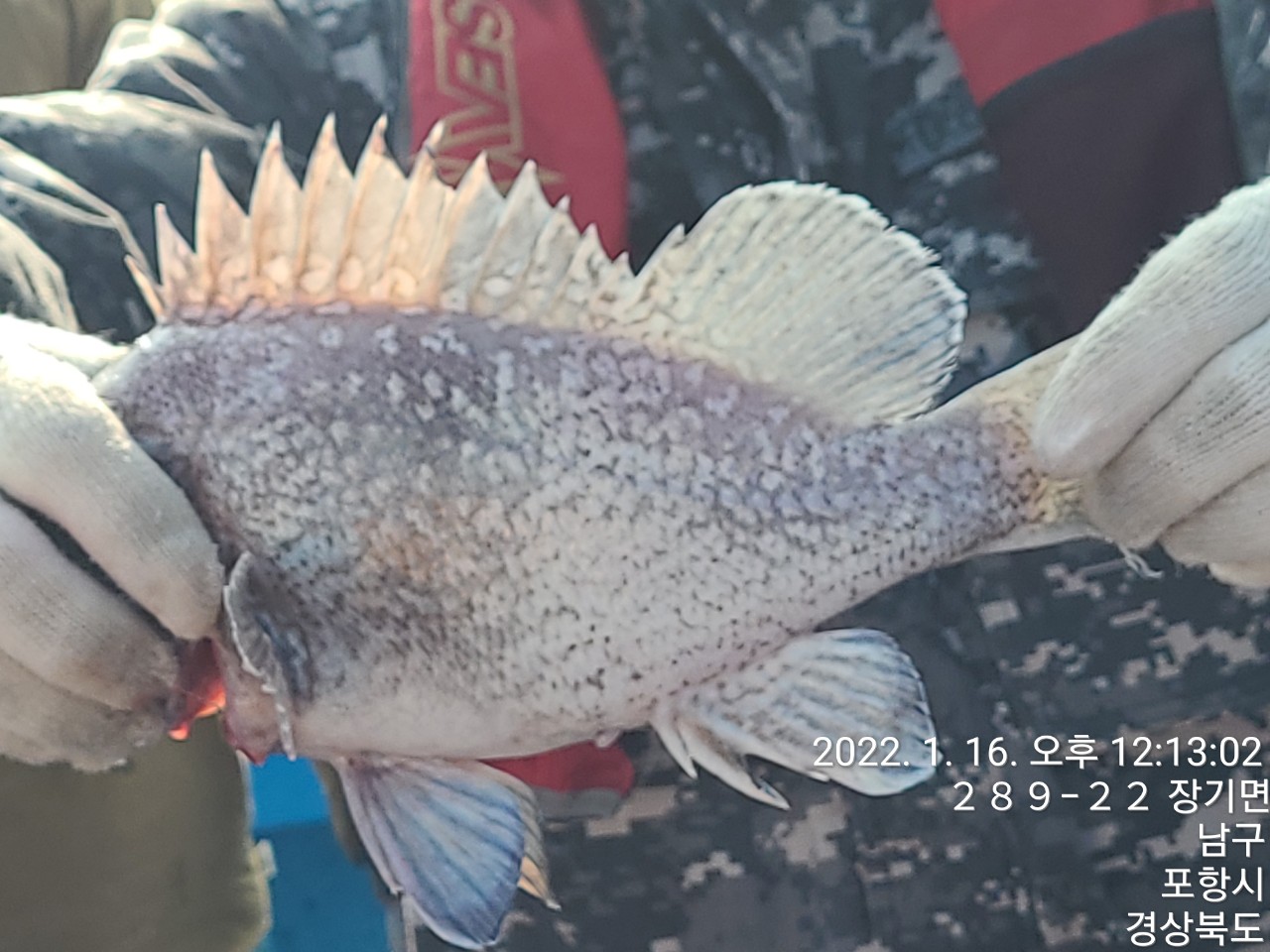 4_01hUd018svc62uo9d7f0dxk_9bt2m0.jpg