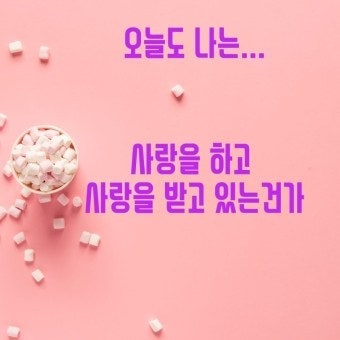 사용자가 올린 이미지