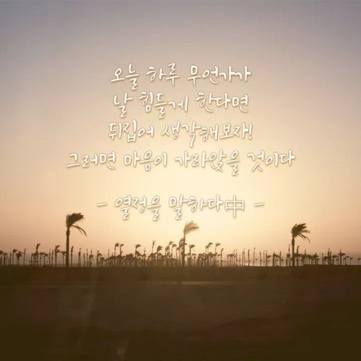 사용자가 올린 이미지