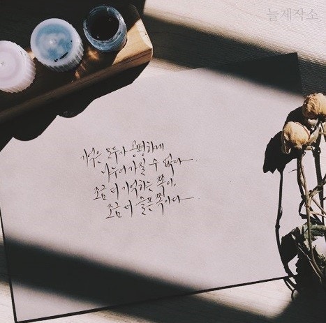사용자가 올린 이미지